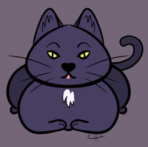 Stellaluna, my cat